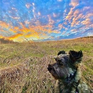 Meet your Posher, LuLu